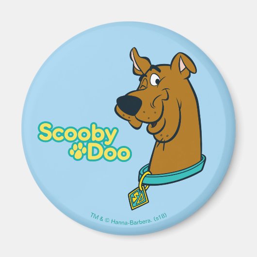 Scooby-Doo Winking Magneet (Voorkant)