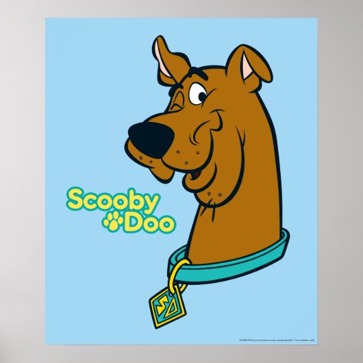 Scooby-Doo Winking Poster (Voorkant)