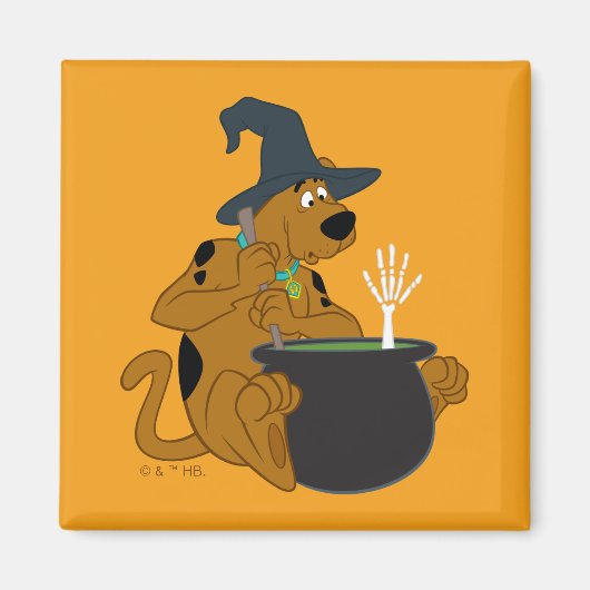 Scooby-Doo Witch's Cauldron Magneet (Voorkant)