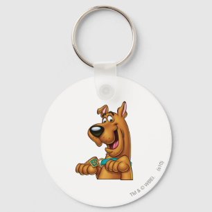 Scooby-doo wordt opgeplakt sleutelhanger