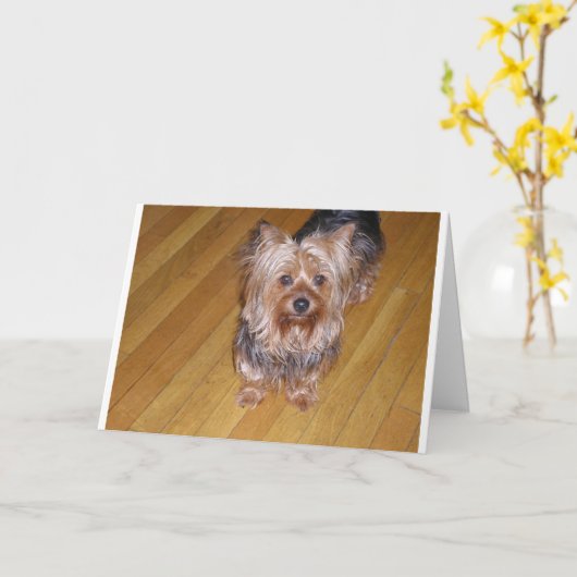 SCOOTA KAART (Gele Bloem)