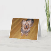 SCOOTA KAART (Voorkant)