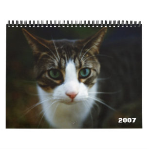 SCOOTER 2007 KALENDER