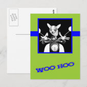 Scooter Chihuahua Briefkaart (Voorkant / Achterkant)