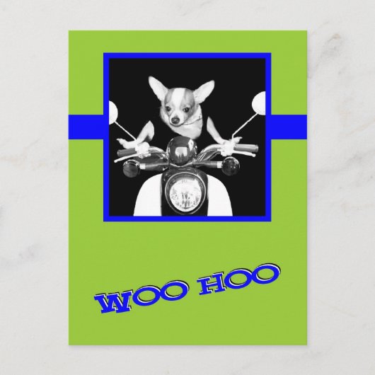 Scooter Chihuahua Briefkaart (Voorkant)