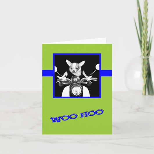 Scooter Chihuahua Kaart (Voorkant)