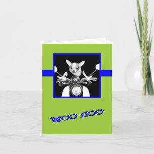Scooter Chihuahua Kaart