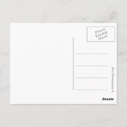 Scooter in zwart-wit briefkaart (Achterkant)