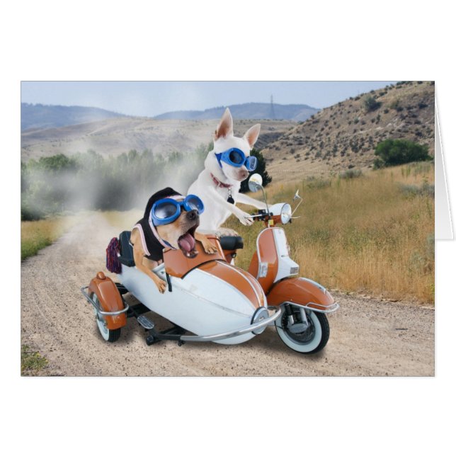 Scooter Ride (Voorkant Horizontaal)