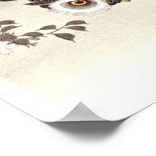 Scops Uil, Kersenbloesem en Maan Poster (Hoek)