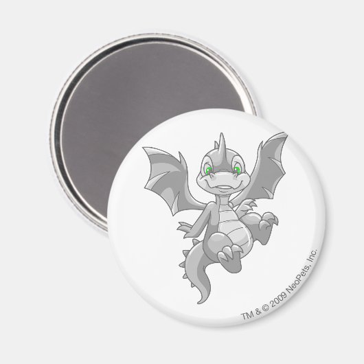 Scorchio Silver Magneet (Voorkant / Achterkant)