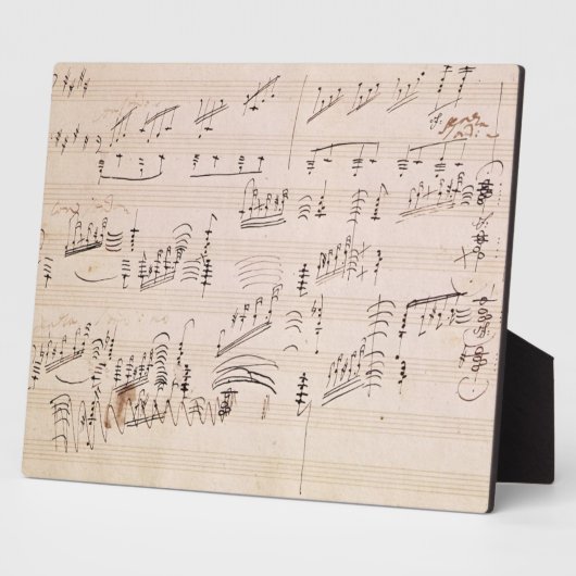 Score sheet van 'Moonlight Sonata' Fotoplaat (Zijkant)