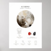 Scorpio Astrological Sign Poster (Voorkant)
