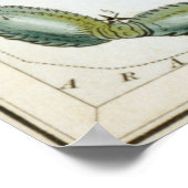 Scorpio Astrologische Tekening Poster (Hoek)