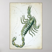 Scorpio Astrologische Tekening Poster (Voorkant)