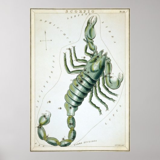 Scorpio Astrologische Tekening Poster (Voorkant)