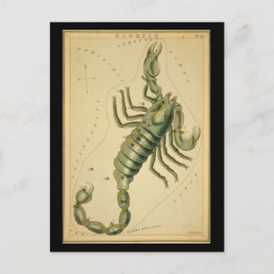Scorpio Briefkaart