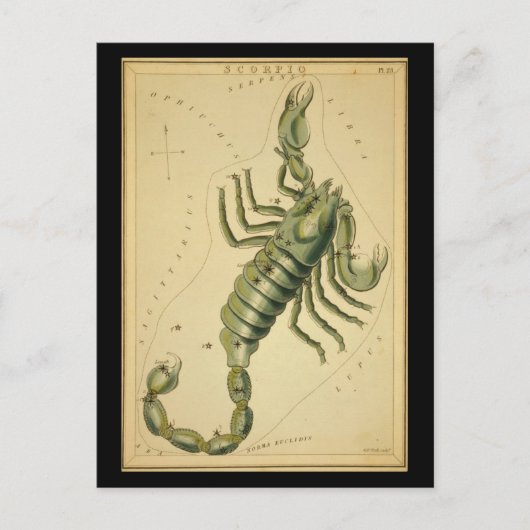 Scorpio Briefkaart (Voorkant)