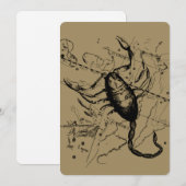 Scorpio Constellation Hevelius 1690 Decor (Voorkant / Achterkant)