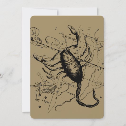 Scorpio Constellation Hevelius 1690 Decor (Voorkant)