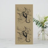 Scorpio Constellation Hevelius 1690 Decor (Staand voorkant)
