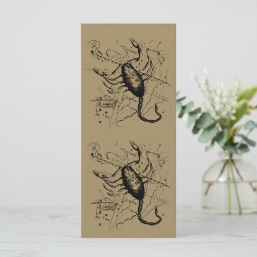 Scorpio Constellation Hevelius 1690 Decor (Staand voorkant)