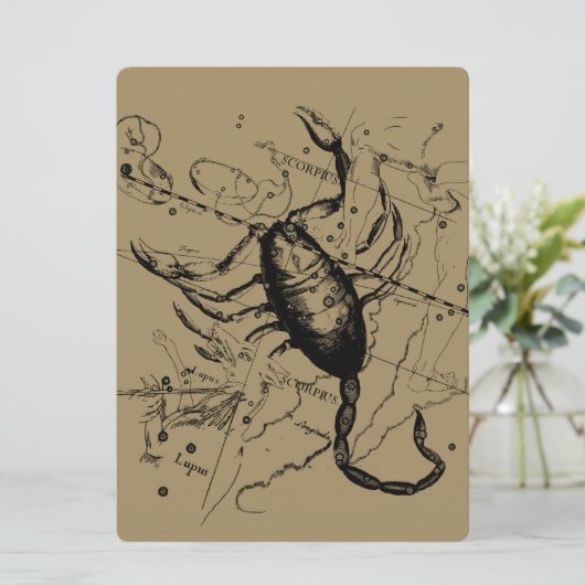 Scorpio Constellation Hevelius 1690 Decor (Staand voorkant)