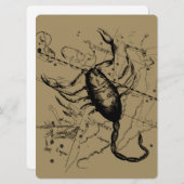 Scorpio Constellation Hevelius 1690 Decor (Voorkant / Achterkant)