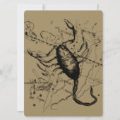 Scorpio Constellation Hevelius 1690 Decor (Voorkant)