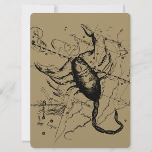 Scorpio Constellation Hevelius 1690 Decor
