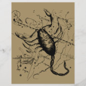 Scorpio Constellation Hevelius 1690 Decor Flyer (Voorkant)