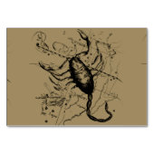 Scorpio Constellation Hevelius 1690 Decor Kaart (Voorkant)