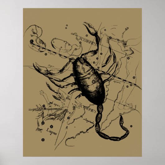 Scorpio Constellation Hevelius 1690 Decor Poster (Voorkant)