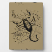 Scorpio Constellation Hevelius 1690 Engraving Fotoplaat (voorkant)