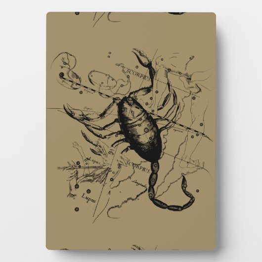 Scorpio Constellation Hevelius 1690 Engraving Fotoplaat (voorkant)