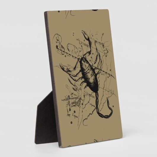 Scorpio Constellation Hevelius 1690 Engraving Fotoplaat (Zijkant)