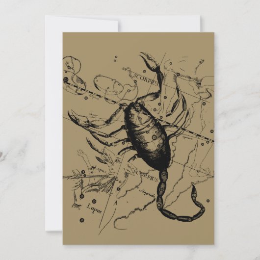 Scorpio Constellation Hevelius 1690 okt. 23 - nov. (Voorkant)