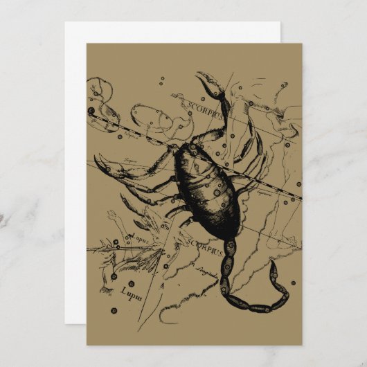 Scorpio Constellation Hevelius 1690 okt. 23 - nov. (Voorkant / Achterkant)