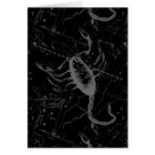 Scorpio Constellation Hevelius 1690 on Black (Voorkant)
