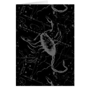 Scorpio Constellation Hevelius 1690 on Black
