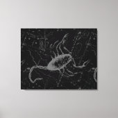 Scorpio Constellation Hevelius 1690 on Black Canvas Afdruk (Voorkant)
