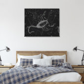 Scorpio Constellation Hevelius 1690 on Black Canvas Afdruk (Insitu (Slaapkamer))