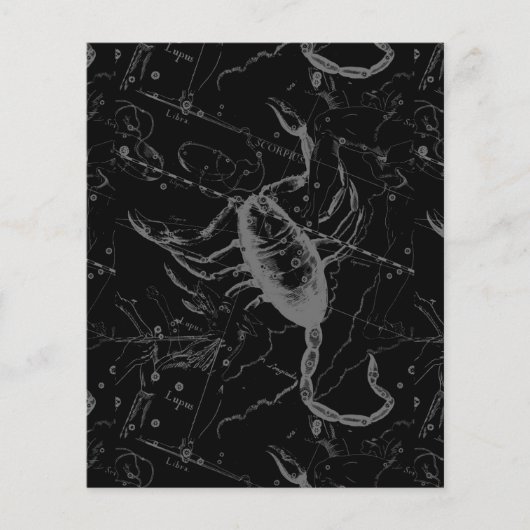 Scorpio Constellation Hevelius 1690 on Black Flyer (Voorkant)