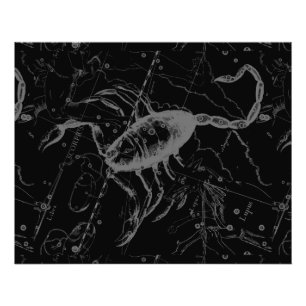 Scorpio Constellation Hevelius 1690 on Black Foto Afdruk