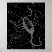 Scorpio Constellation Hevelius 1690 on Black Poster (Voorkant)