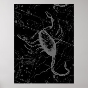 Scorpio Constellation Hevelius 1690  zwart Poster