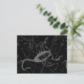 Scorpio Constellation Hevelius circa 1690 op Black Briefkaart (Staand voorkant)