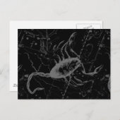 Scorpio Constellation Hevelius circa 1690 op Black Briefkaart (Voorkant / Achterkant)