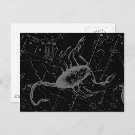 Scorpio Constellation Hevelius circa 1690 op Black Briefkaart (Voorkant / Achterkant)