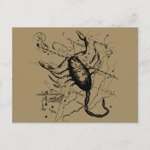 Scorpio Constellation Hevelius circa 1690 Vintage Briefkaart